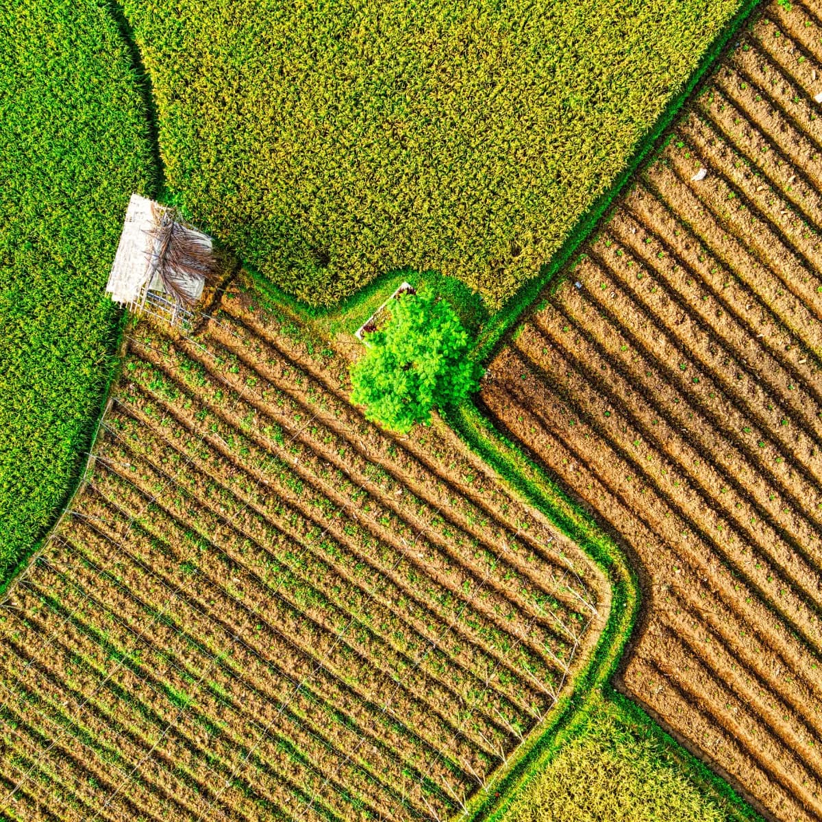 Enhanced Sustainability